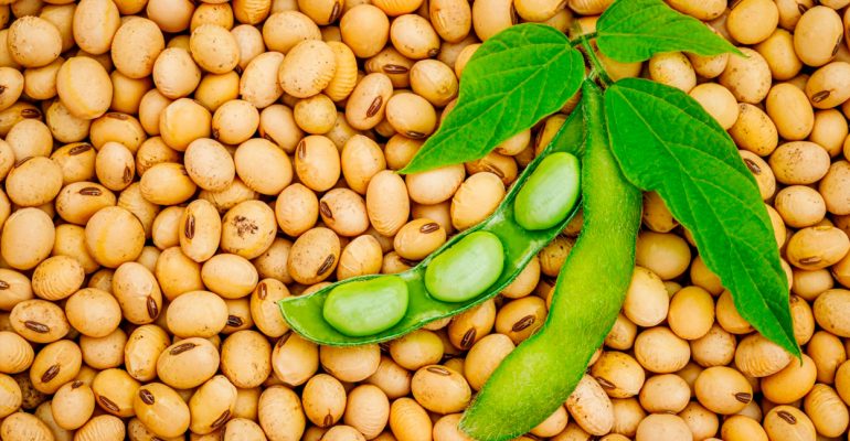 Beneficios de la lecitina de soja