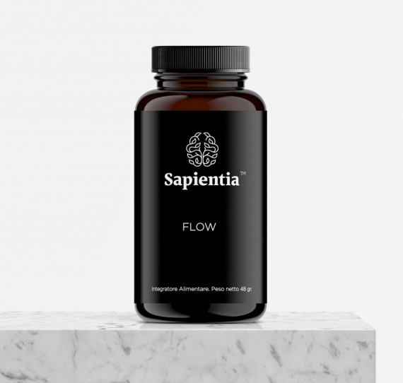 Sapientia_Flow_ES-1-1024x974